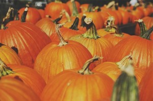 pumpkins-691666_640